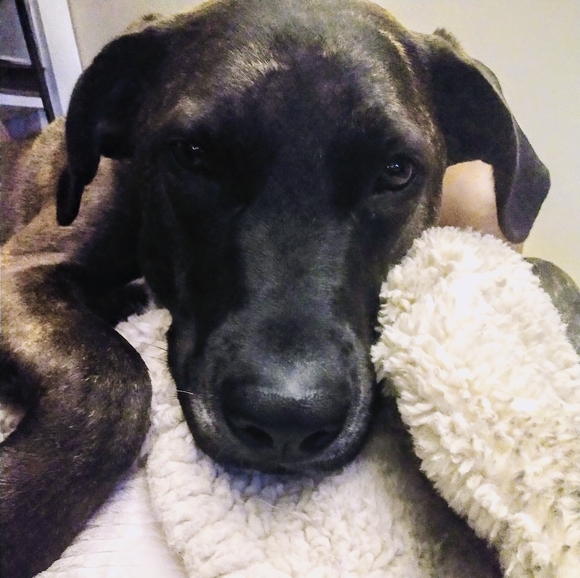 Meet your Posher, Mika - Picture 8 of 8